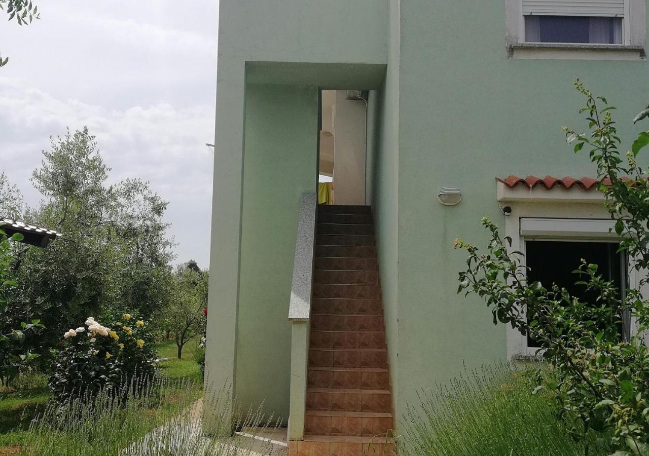 Apartmani Natasa Vrsar Exteriér fotografie