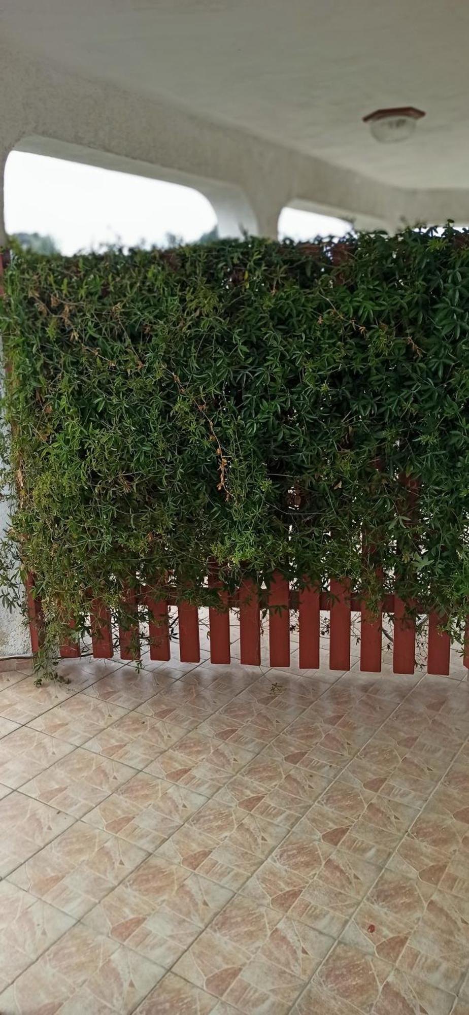 Apartmani Natasa Vrsar Exteriér fotografie